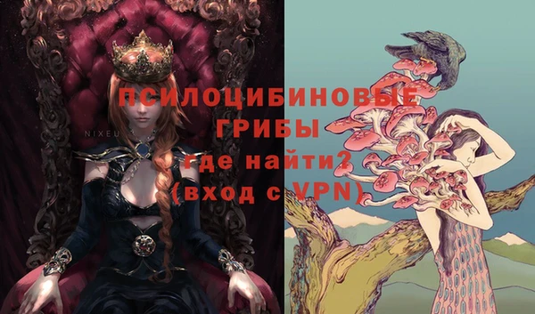 тгк Нея
