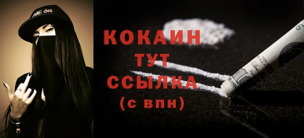 соль ск Абаза