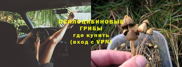 эйфоретик Нефтегорск