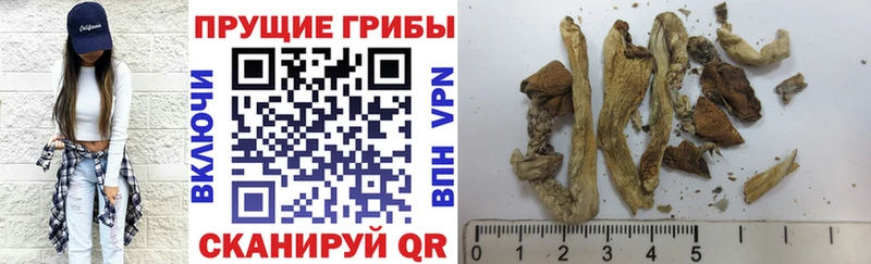 shop официальный сайт  где найти   Ялта  Галлюциногенные грибы MAGIC MUSHROOMS 